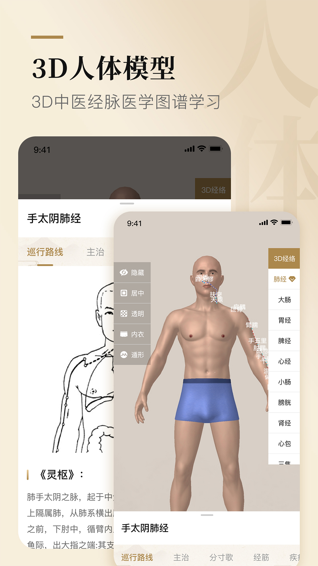 经络穴位标准指南截图2