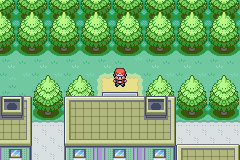 口袋妖怪火红怎么抓凤凰