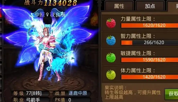 全民奇迹弓箭手翎羽带什么