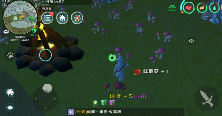 创造与魔法红蜥蜴饲料怎么做