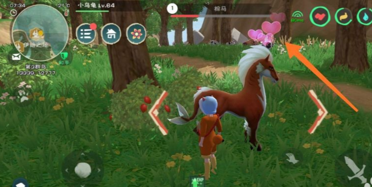 创造与魔法马怎么驯服