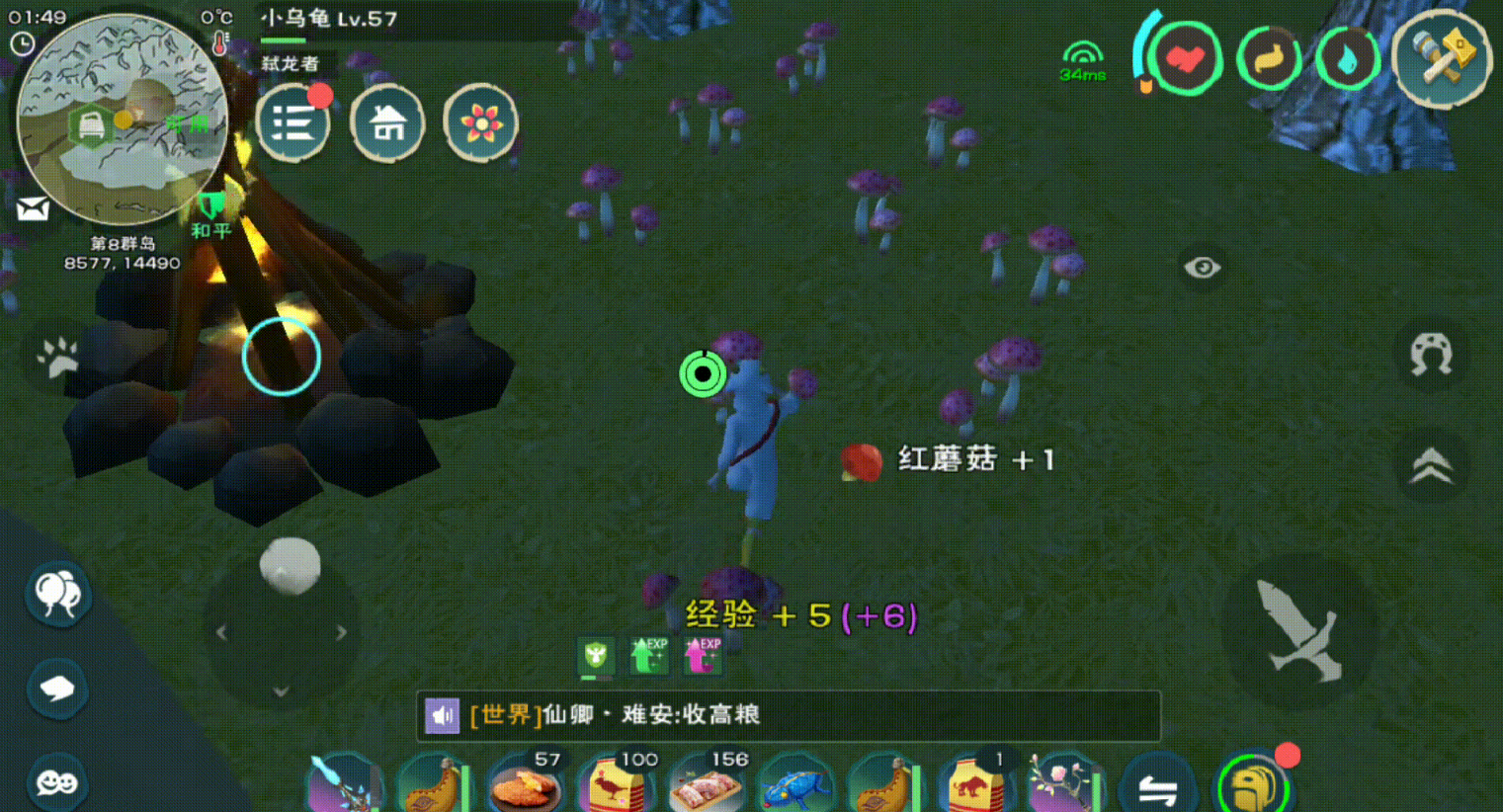 创造与魔法绿蜥蜴吃什么