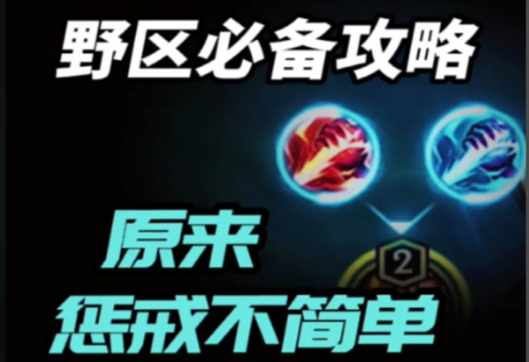 英雄联盟手游盲僧皇子带什么惩戒