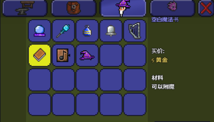 泰拉瑞亚有哪些饰品