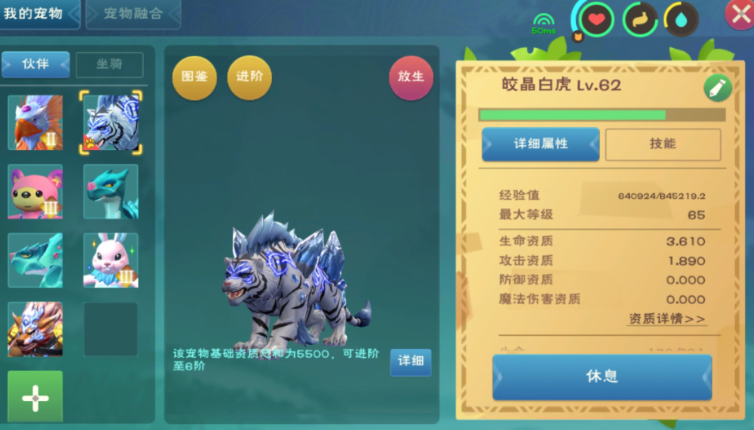创造与魔法如何升级皎金白虎