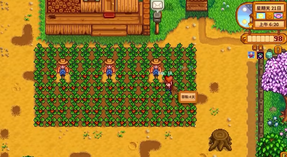 星露谷物语新手怎么赚钱