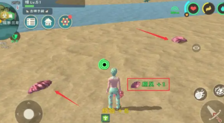 创造与魔法小贝壳在哪里