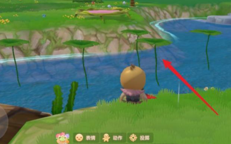 摩尔庄园怎么得水上的叶子