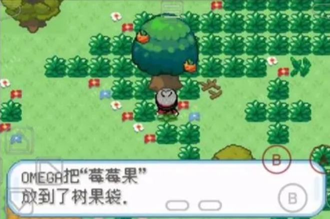 口袋妖怪火红果树森林怎么走