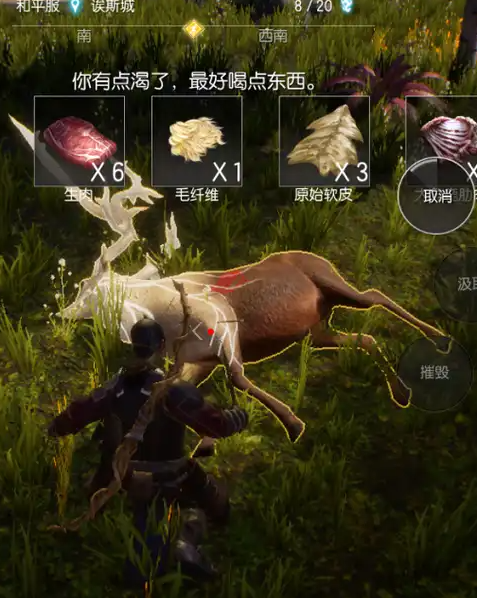 黑暗与光明怎样烤肉