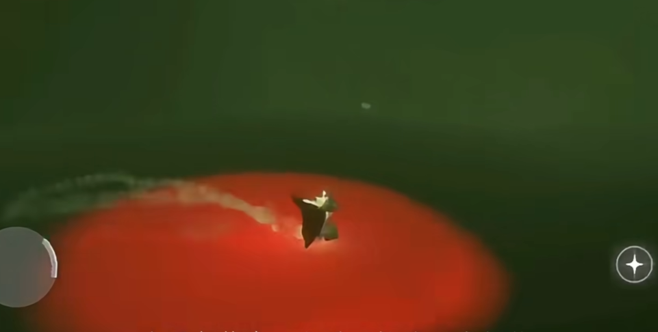 光遇献祭完怎么拿爱心