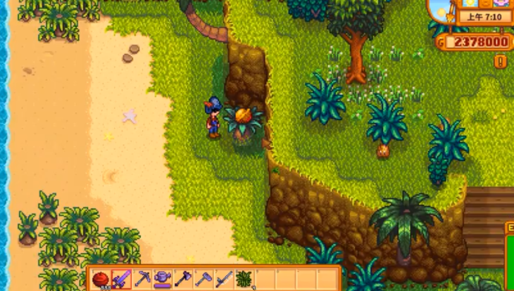 星露谷物语核桃怎么获得