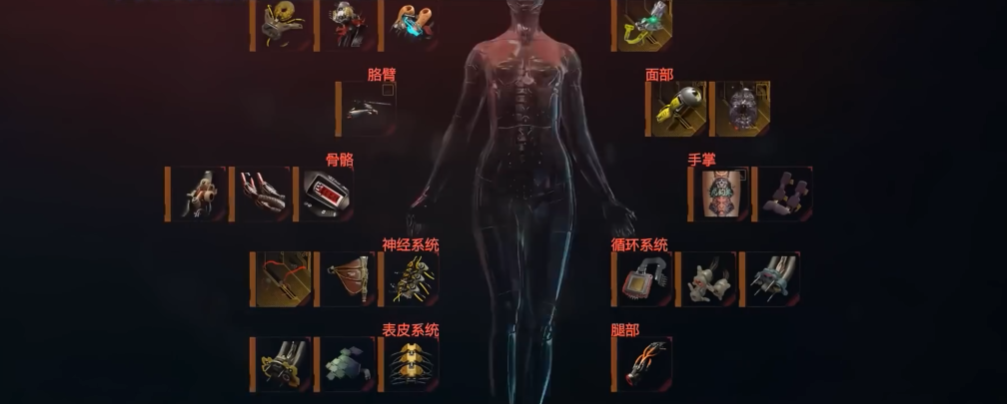 赛博朋克2077五大流派哪个强