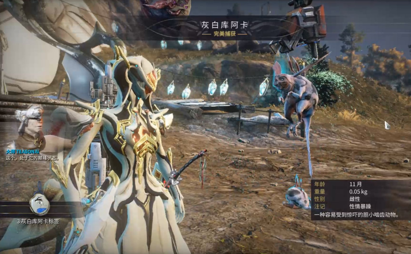 星际战甲指挥官怎么得