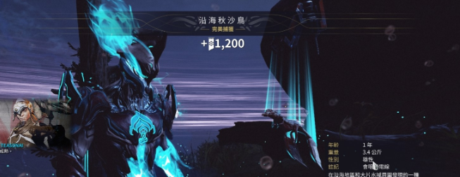 星际战甲小鸭子声望有什么用啊