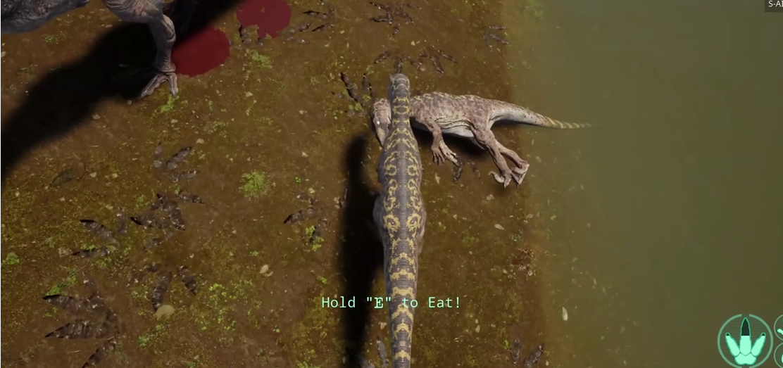 恐龙岛怎么把肉带走