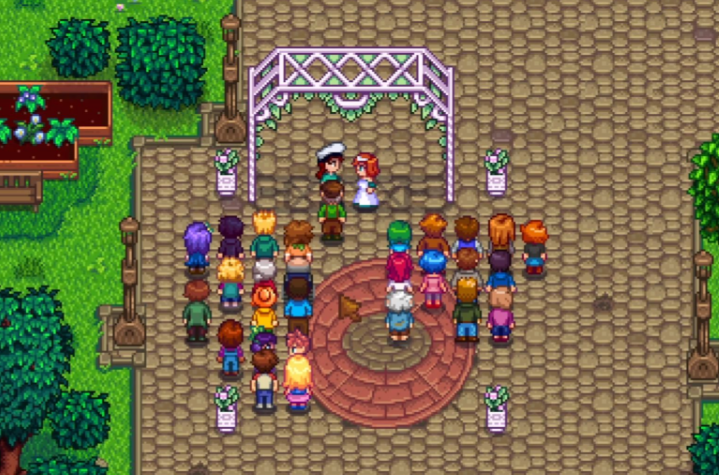 星露谷物语怎么娶潘妮