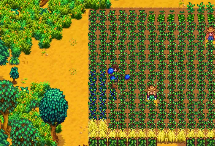 星露谷物语第一年夏天怎么赚钱