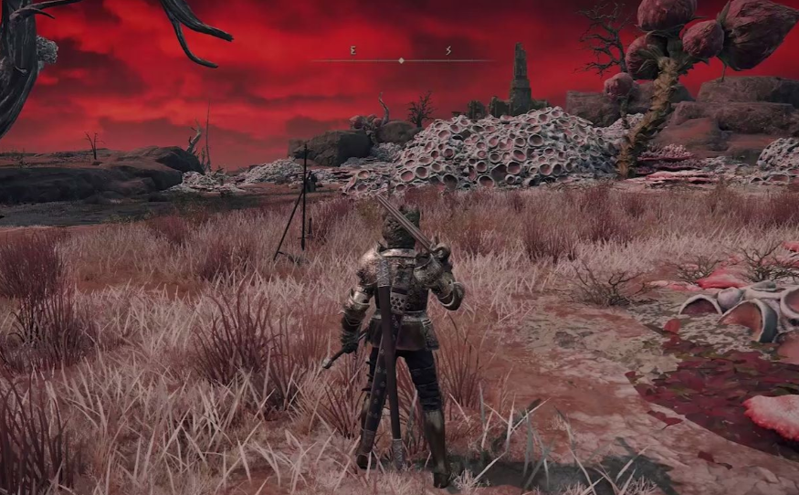 艾尔登法环80级去哪里