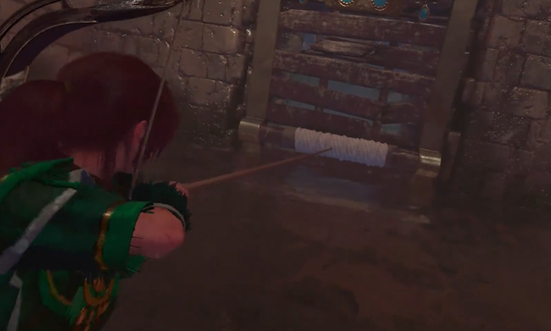 古墓丽影暗影水闸门怎么过