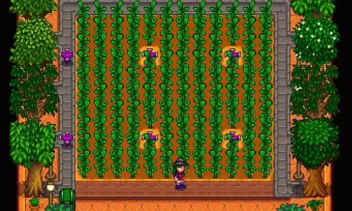 星露谷物语洒水器怎么用