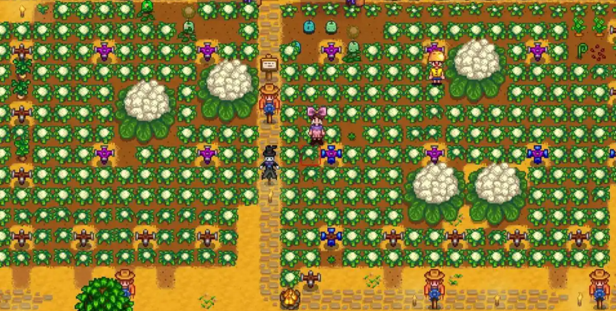 星露谷物语第二年春天种什么好