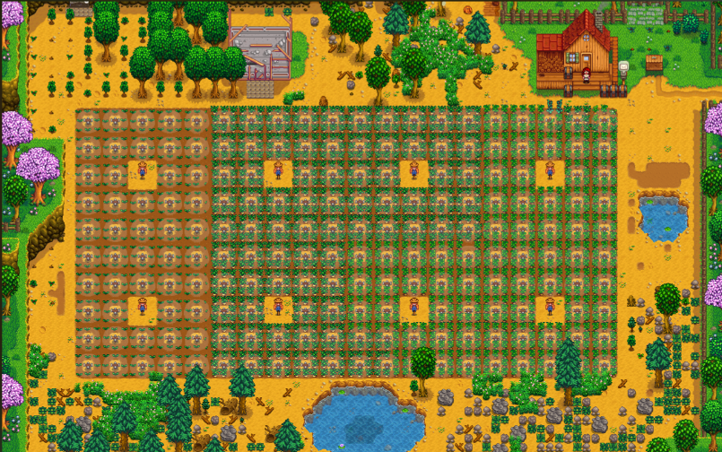 星露谷物语茶苗流怎么发育 星露谷物语茶苗流怎么发育