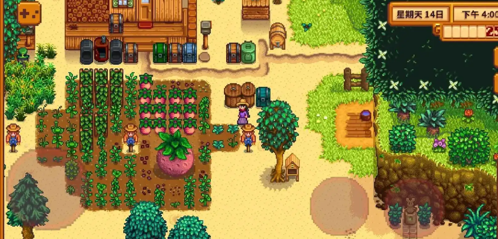 星露谷物语夏天干什么好