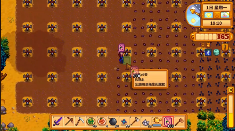 星露谷物语夏天干什么好