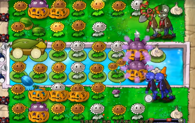 植物大战僵尸泳池无尽怎么打