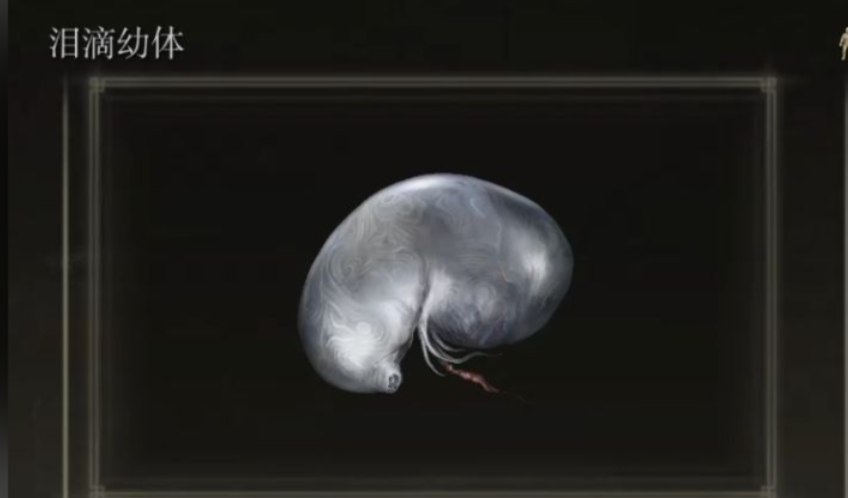 艾尔登法环魔法骑士开局怎么玩