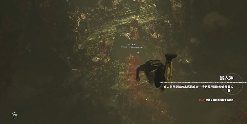古墓丽影水底食人鱼怎么过